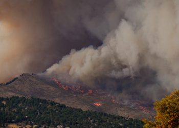 What Can You Do To Prevent Wildfires?