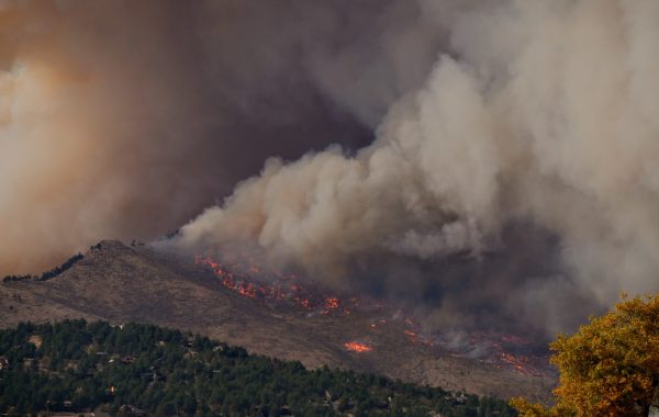What Can You Do To Prevent Wildfires?